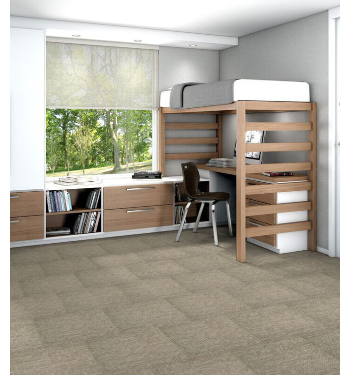 Apollo 24-in x 24-in Multi-Level Loop Adhesive Carpet Tile (48-sq ft)