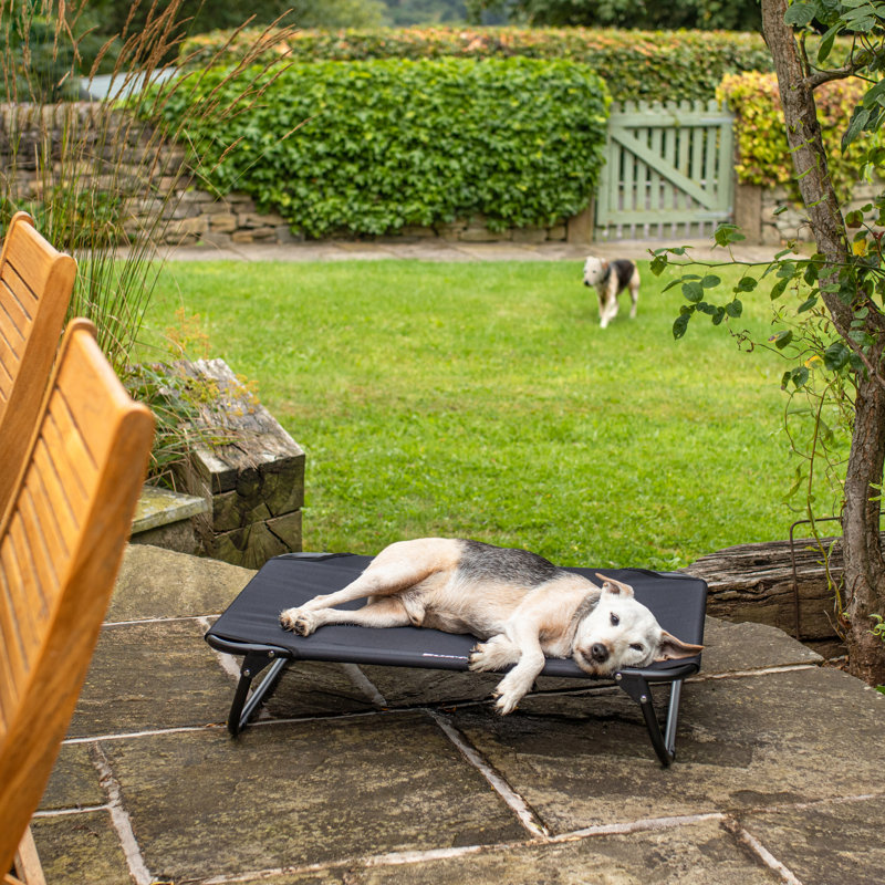 Ashanti Orthopedic Polyester Pet Bed, Large (105cm W x 65cm D x 18cm H)