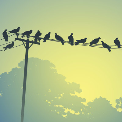 Birds in a Line 1 Piece Wrapped Canvas Wall Art