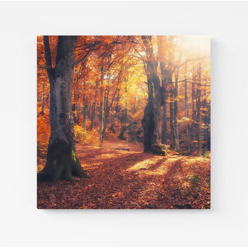Autumn Forest - Wrapped Canvas Print