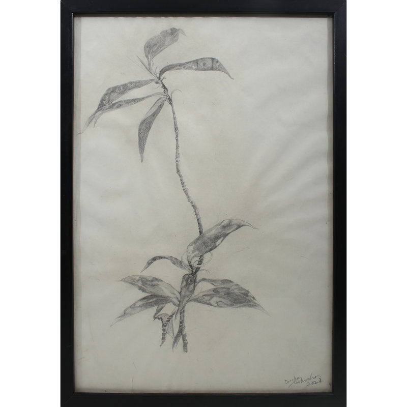 Feuilles, peinture graphite | Graphite sur Canson | Par Deepa Kushwaha | Avec cadre