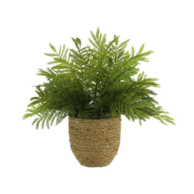 Outdoor UV-Rated Ostrich Fern in Straw Grass Wrapped Pot