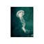 Marine Collection V Print by GI Lab-26703685-26703687