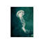 Marine Collection V Print by GI Lab-26703690-26703686