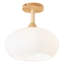 Glass Semi Flush Mount