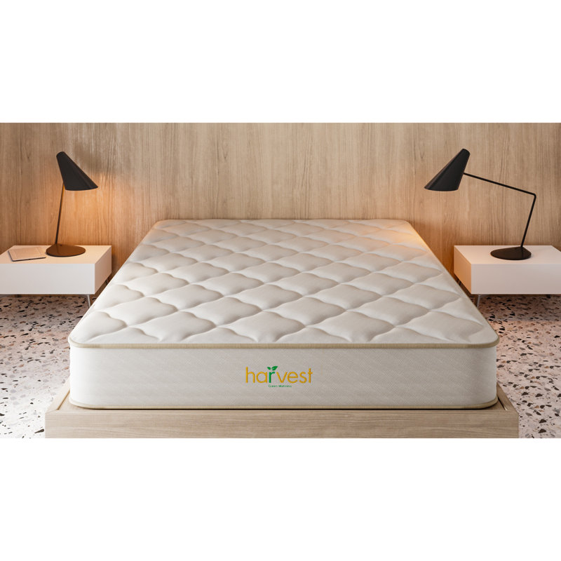 Twin Organic Latex Foam Pillowtop Mattress