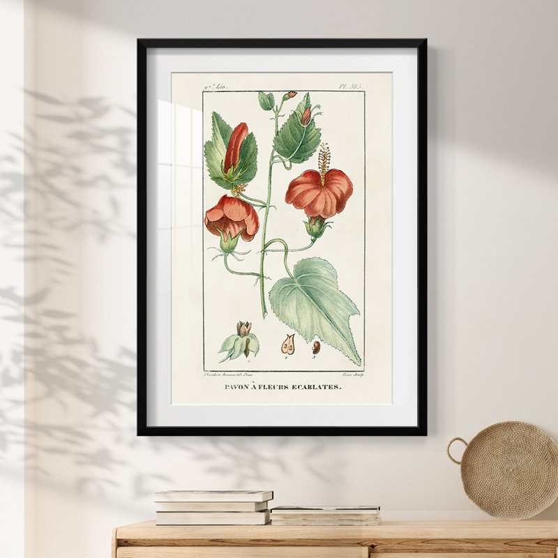 Salome -Gallery Wrapped Canvas, 28.5" H x 20.5" W, Black