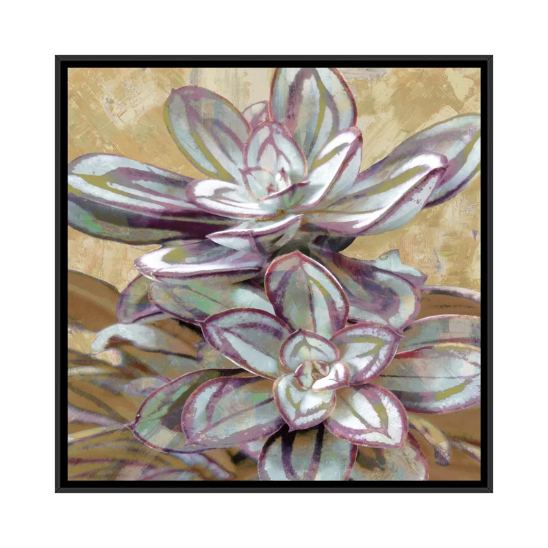 « succulent iv », impression sur toile, H 18 po x l 18 po x P 1,5 po, Toile avec cadre noir, Pas de tapis