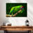 Military Macaw-107922825