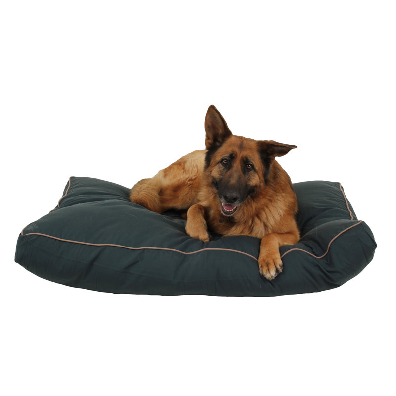 Coussin intérieur / extérieur pour chien, Très grand (l 48 po x P 36 po x H 4 po), Vert