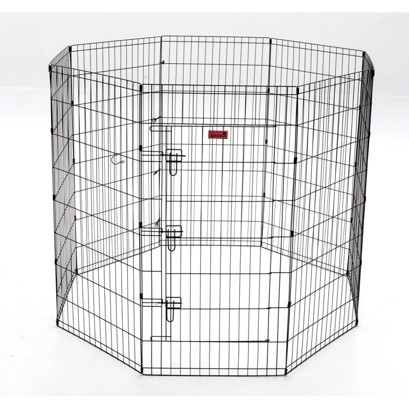 Lucky Dog 48" Black Metal Exercise Pen with Stakes