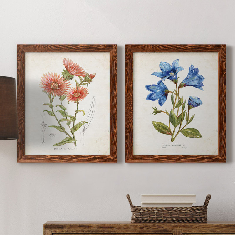 «Botanical I», ensemble de 2 reproductions d'art, Pas de tapis, H 24 po x l 36 po x P 1,5 po, Toile avec cadre érable
