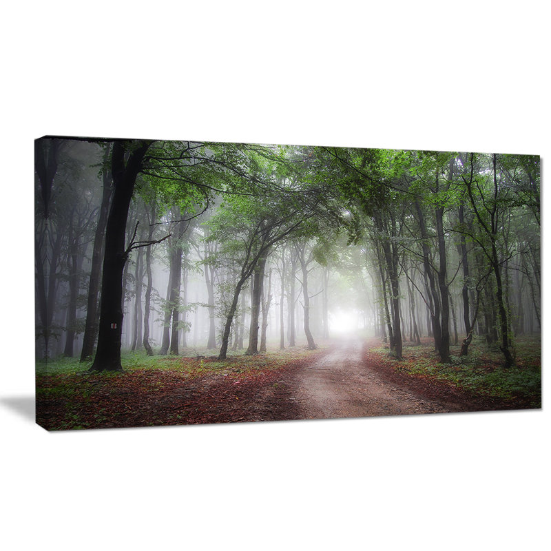 «Light Through Green Fall Forest», reproduction de photo sur toile tendue, H 16 po x l 32 po x P 1 po