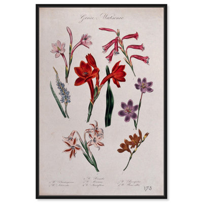 Art Remedy, impressions sur toile, sept plantes