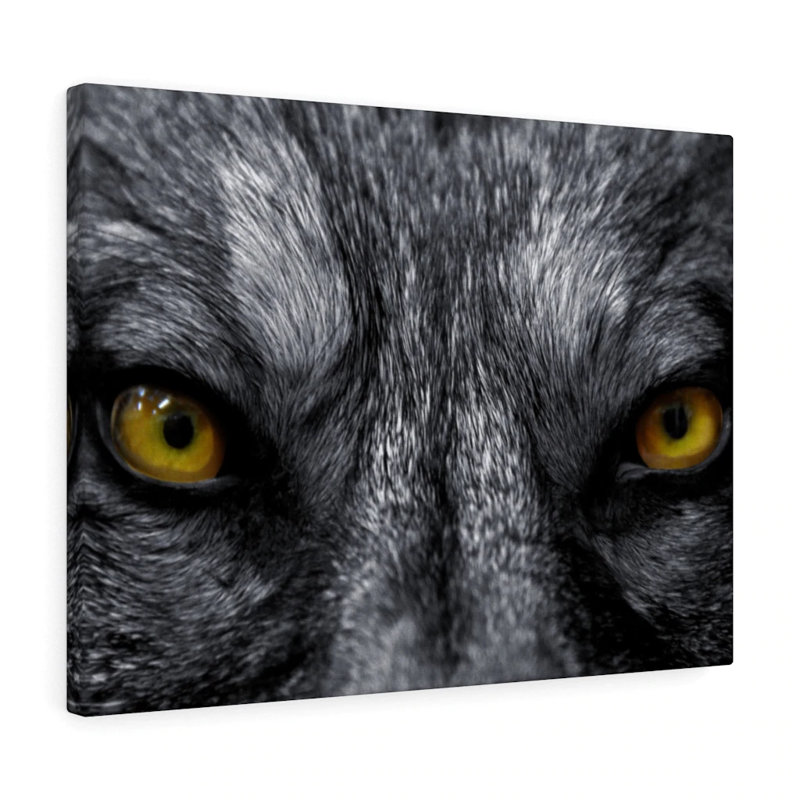 Wolf Eye - Wrapped Canvas Print, 30cm H x 41cm W