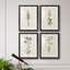 Mauve Garden Flowers I - ensemble de 4 peintures encadrées-1257449931-1257449929