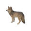 Statue Coyote debout