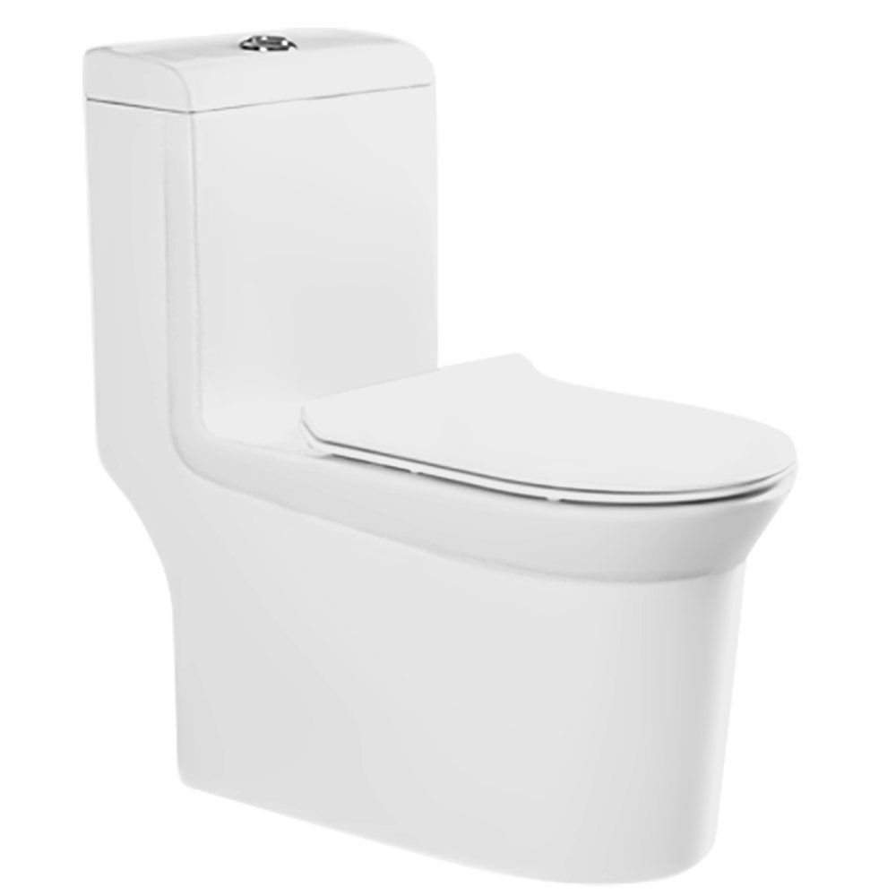 One-Piece Water Saver 4 GPF Compact Elongated Commercial Grade Dual Flush Toilet 4GPF Sani Canada