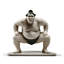 Sumo Fighter