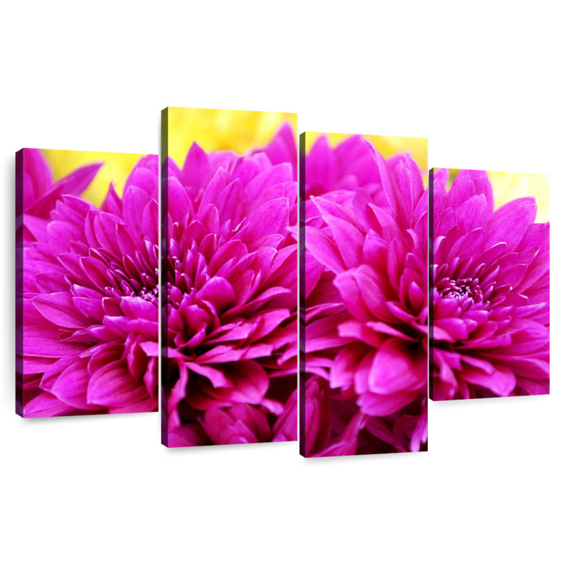 Harnek Hot Pink Mums