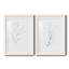 «Botanical Gesture I», reproduction de dessin-1021500940-1021500939-1021500990