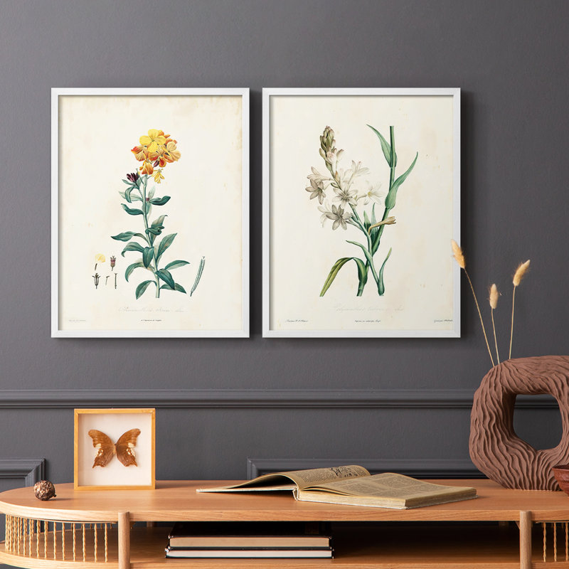 Traditional Botanical III - reproduction encadrée de qualité supérieure - prête à être accrochée - aucun clou requis - aucun clou requis