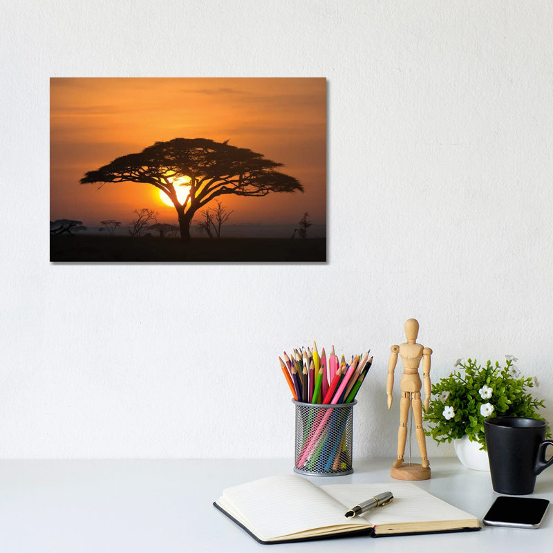 Acacia au lever du soleil. - Impression d'art mural