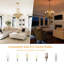 Luminaire suspendu moderne à 6 lumières VBANPA Crystal Chandeliers Clear Chandelier-537949756
