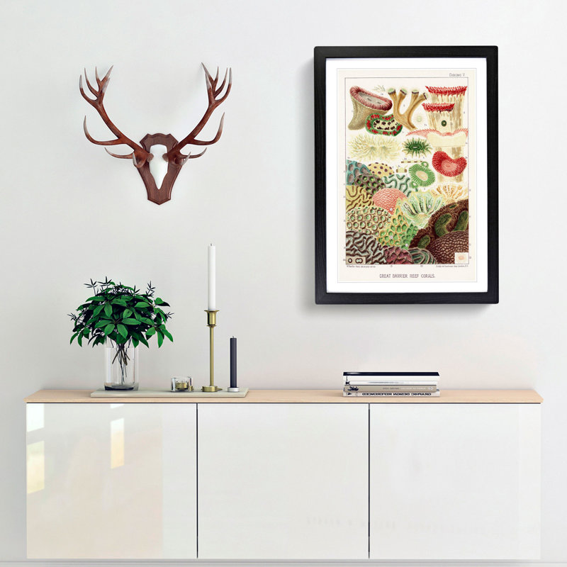 Great Barrier Reef Corals V by W. Saville-Kent - Framed Print, 36cm H x 27cm W x 2cm D, Black Framed