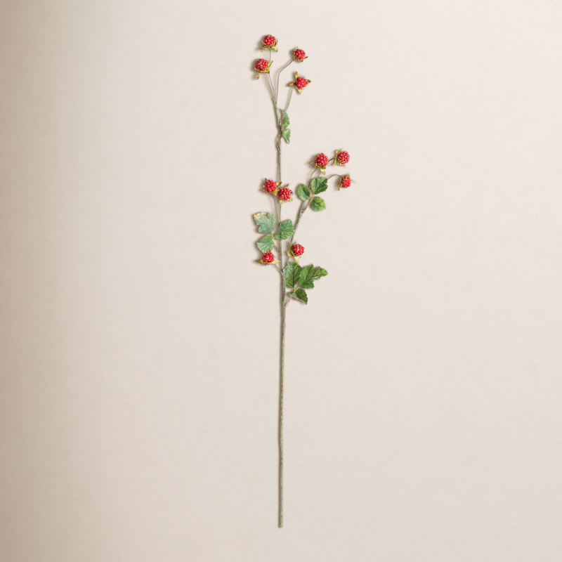 Wild Blackberry 31-Inch Stem, Red