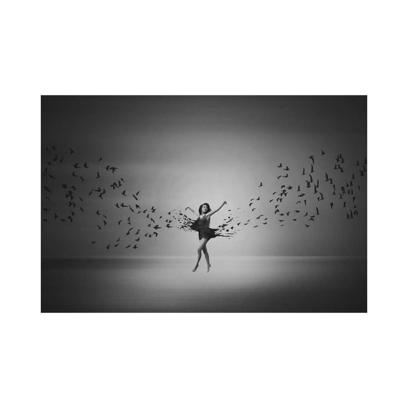 Ballerina Flight of Birds 1 Piece Wall Art on Canvas, 45.72cm H x 66.04cm W x 1.91cm D, Wrapped Canvas