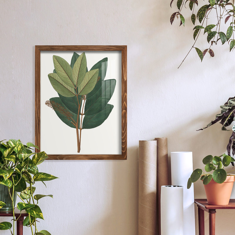 Fall Foliage IV, reproduction d'art encadrée, H 15 po x l 12 po x P 1 po, Noyer