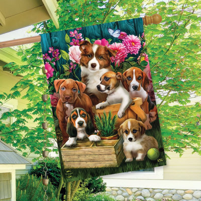 Drapeau «In The Garden Dogs Spring House»