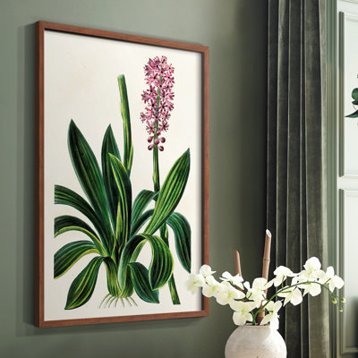 Reproduction encadrée de floral antique II - bois massif