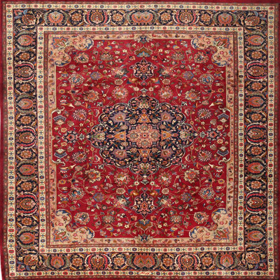 Dieman Oriental Indoor Rug