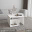 Table d'appoint H 25 po, 1 tablette-1231264843