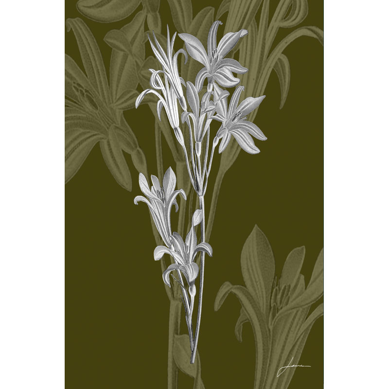 Jewel Stems II by James Burghardt - Wrapped Canvas Print, 46cm H x 30cm W x 3.8cm D