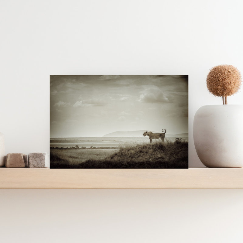 Lioness Overlooking Savanna Vintage Abstract Cat Lion Landscape Nature Wall Art Print 1 Piece Wrapped Canvas Wall Art