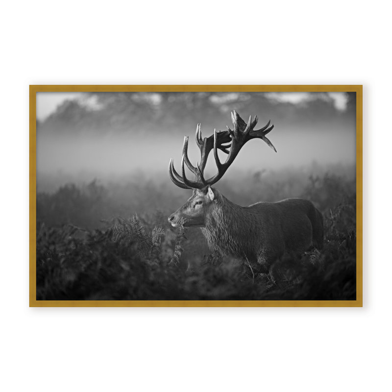 Nature Inspired Sunny Morning by  - Picture Frame Photograph on Paper, 16" H x 24" W x 1.125" D, Framed Print, Gold