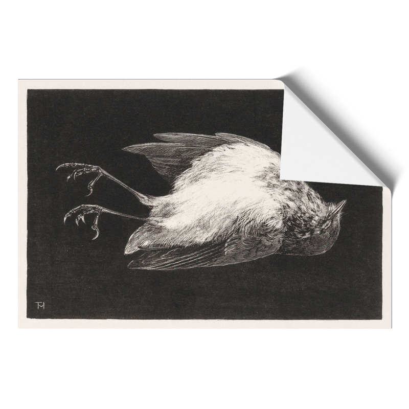 Dead Robin by Theo Van Hoytema - No Frame Painting, 21cm H x 30cm W x 0.1cm D