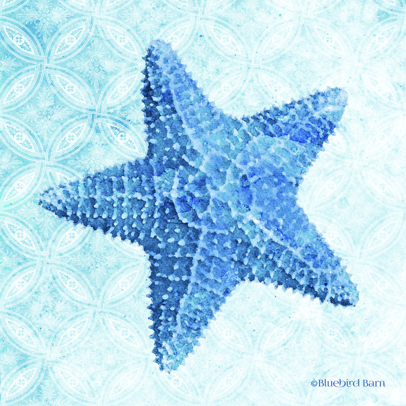 Étoile de mer par Bluebird Barn - impression, H 12 po x l 12 po, Toile tendue