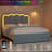 Daphne Upholstered LED Bed Frame With Drawer & Adjustable Headboard, Kids Beds-224701900-227418667