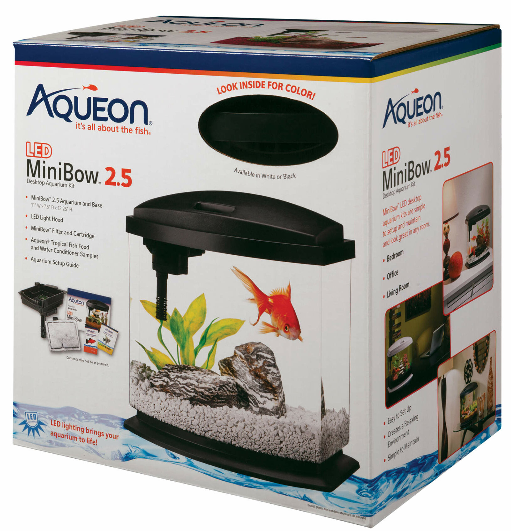 Tucker Murphy Pet™ Margo 2 Gallon Desktop Aquarium Tank & Reviews
