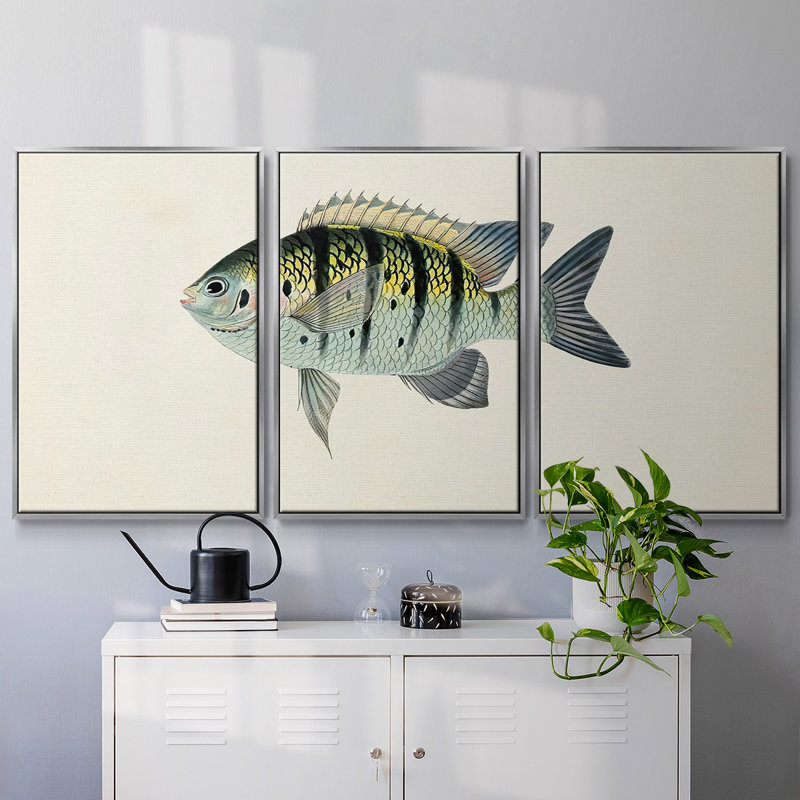 Collection de poissons tropicaux VI 3 pièces, H 40 po x l 78 po x P 2 po, Argent