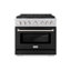 ZLINE 36" Paramount Dual Fuel Stainless Steel Range w/ 6 Burner Cooktop & Convection Oven (SDR36)-1777327712-1777327724