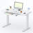 48'' W Adjustable Glass Electric Standing Desk with Drawer, USB Ports-1568416154