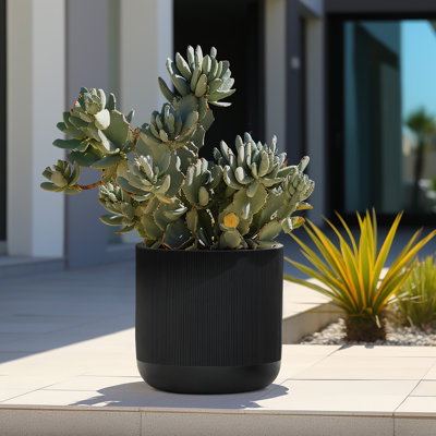 Greenebaum 14.8'' D Round Ribbed Black Planter, Outdoor Plant Pot