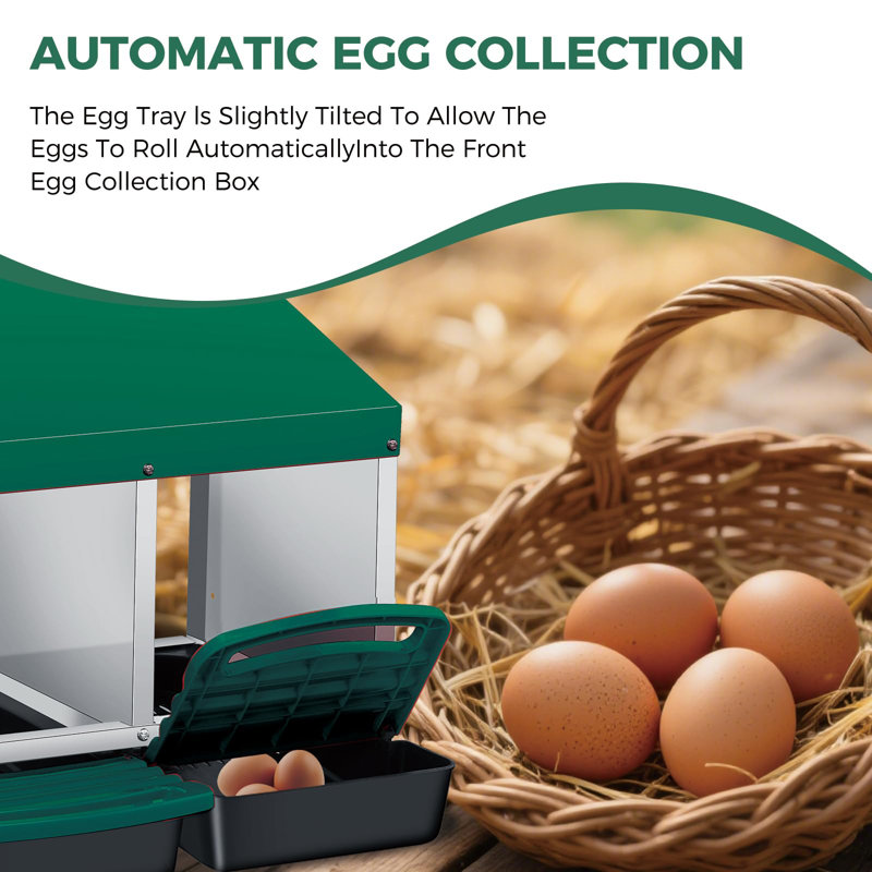 Boîte de nidification pour poulets, Easy Egg Collection et boîte de ponte en acier galvanisé Clean pour poules, Vert