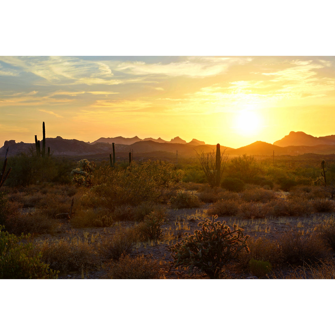 Sunset View Of Arizona Desert by Jenifoto - Wrapped Canvas Print