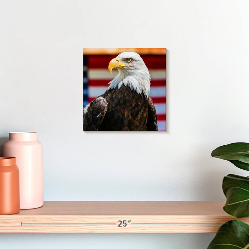 Brampt Mighty US Bald Eagle, 10" H x 10" W